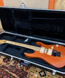 Stormshadow Guitarworks Serial Number 0012 Early Custom Shop Guitar