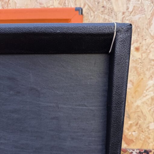 Vintage 1960s Bird Golden Eagle 425 1x15 Amplifier Combo Project