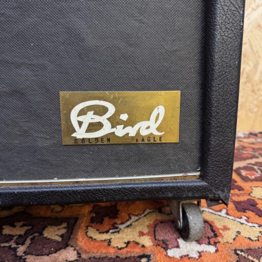 Vintage 1960s Bird Golden Eagle 425 1x15 Amplifier Combo Project