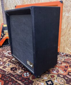 Vintage 1960s Bird Golden Eagle 425 1x15 Amplifier Combo Project