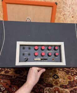 Vintage 1960s Bird Golden Eagle 425 1x15 Amplifier Combo Project