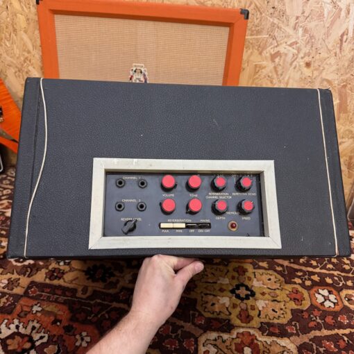 Vintage 1960s Bird Golden Eagle 425 1x15 Amplifier Combo Project