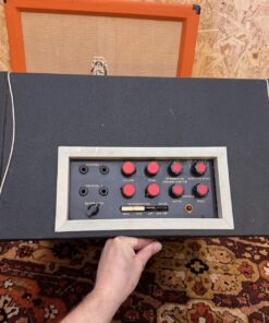 Vintage 1960s Bird Golden Eagle 425 1x15 Amplifier Combo Project