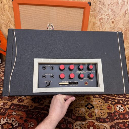 Vintage 1960s Bird Golden Eagle 425 1x15 Amplifier Combo Project